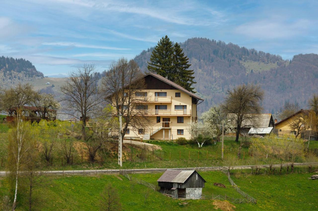 Transylvanian House Drumu Carului Kültér fotó