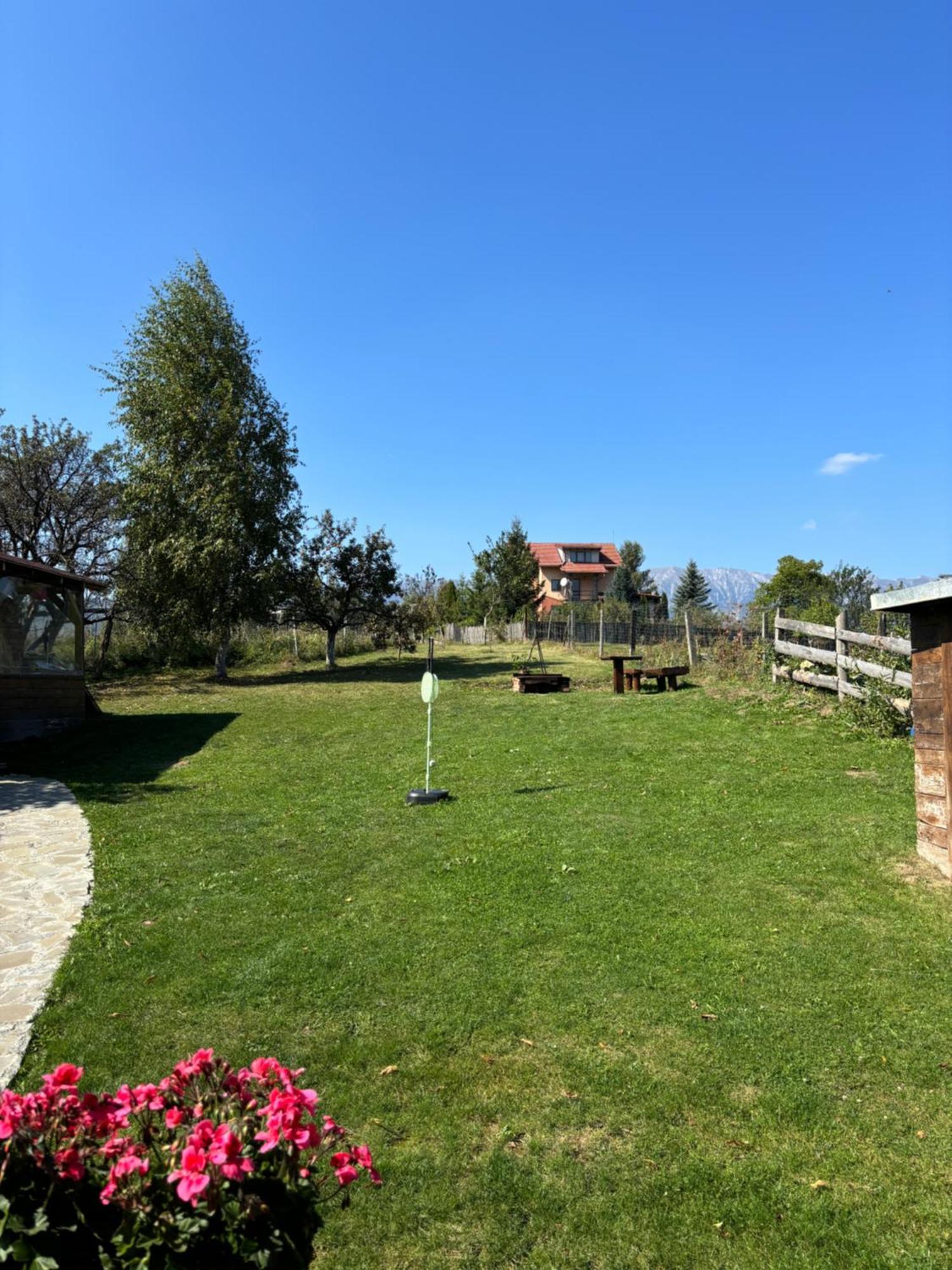 Transylvanian House Drumu Carului Kültér fotó